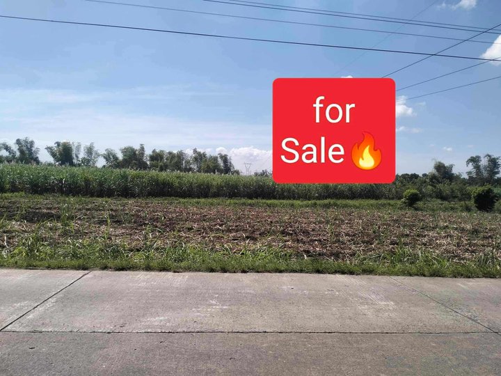 12ha Lot Only For Sale, Best for a Subdivision - Along New Economic Highway Bacolod City Negros Occ