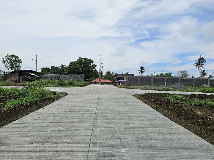 300 sqm Residential Farm For Sale in Silang Cavite