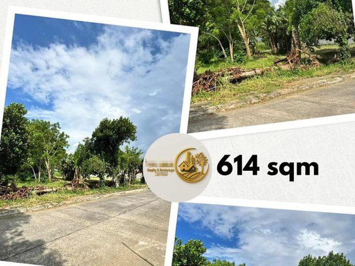 614sqm Lot For Sale Marapara Subd., Bacolod City
