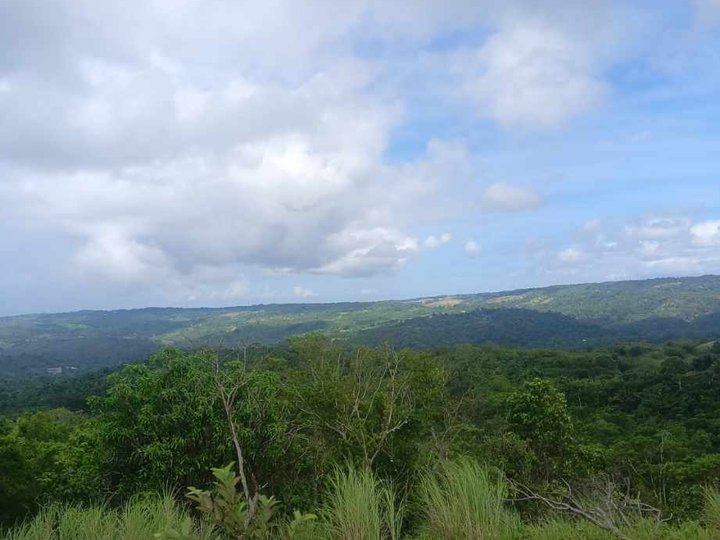 Farmlot forsale @tanay rizal