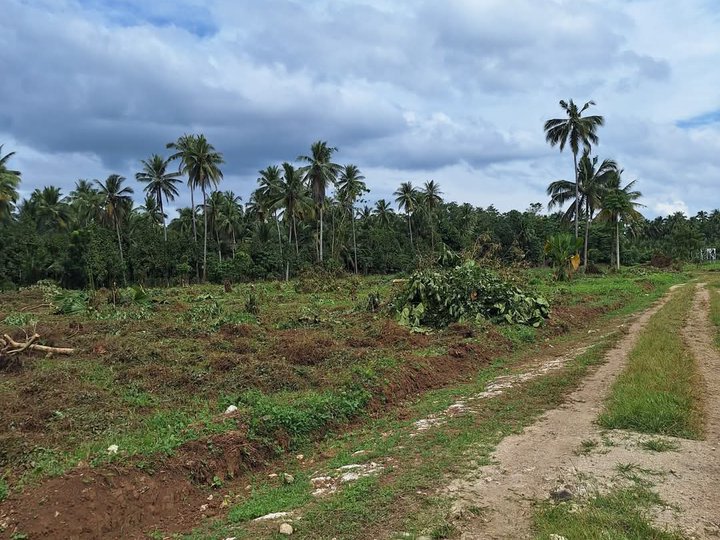 100 sq.m. Raw Land for Sale in Kidapawan City, COTABATO