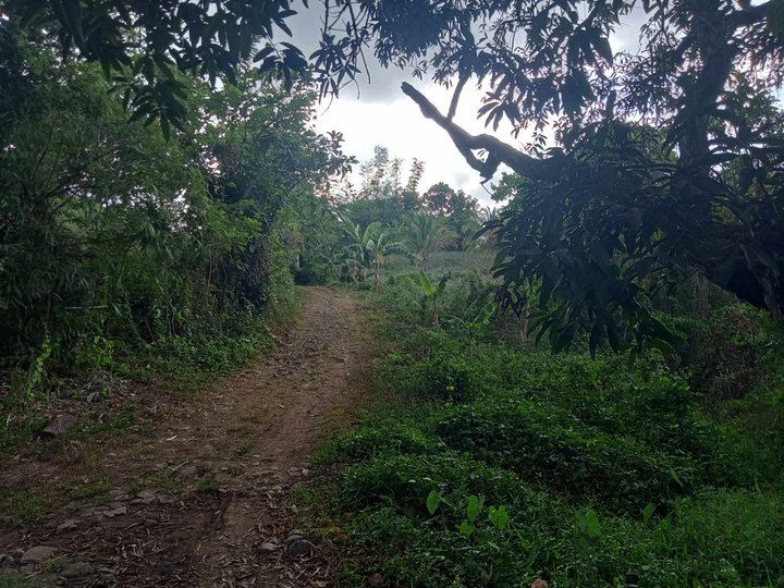 Residential Lot in Windmill Pililla Rizal