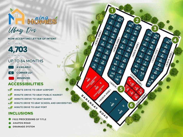 Affordable Lot at Nina Homes Ubay  ,