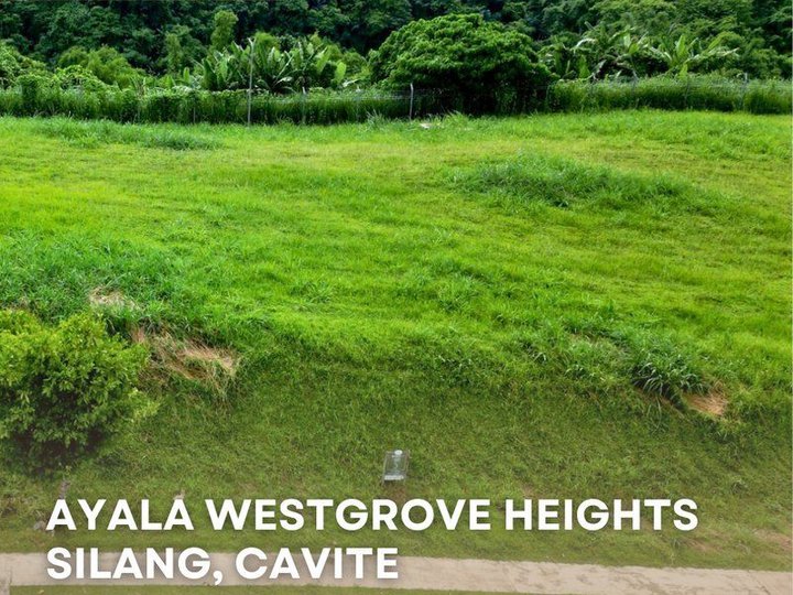 FOR SALE: AYALA WESTGROVE HEIGHTS, SILANG CAVITE