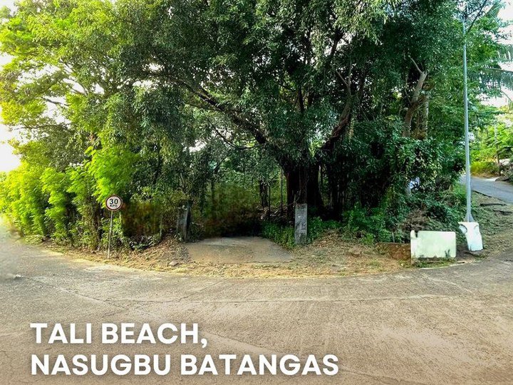 FOR SALE: TALI BEACH, NASUGBU BATANGAS