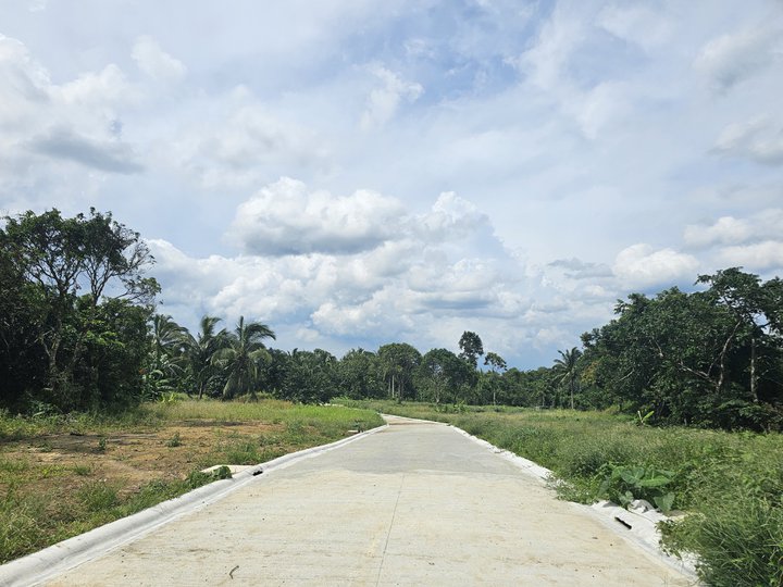 Amadeo Lot For Sale  along Crisanto Road