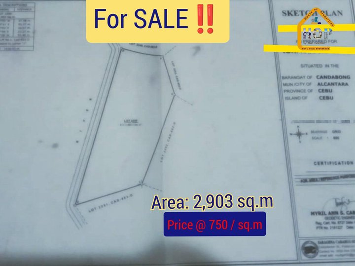 2,903 sqm Residential Farm For Sale in Alcantara Cebu