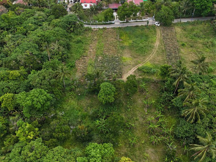 300 sqm Residential Farm For Sale in Mendez (Mendez-Nunez) Cavite