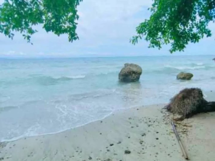 Beachfront Property Samal island