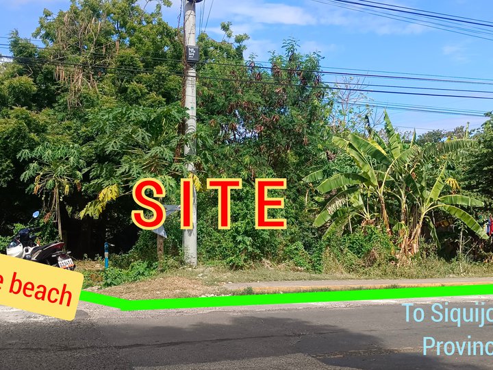 260 sqm Commercial Lot For Sale in San Juan Siquijor