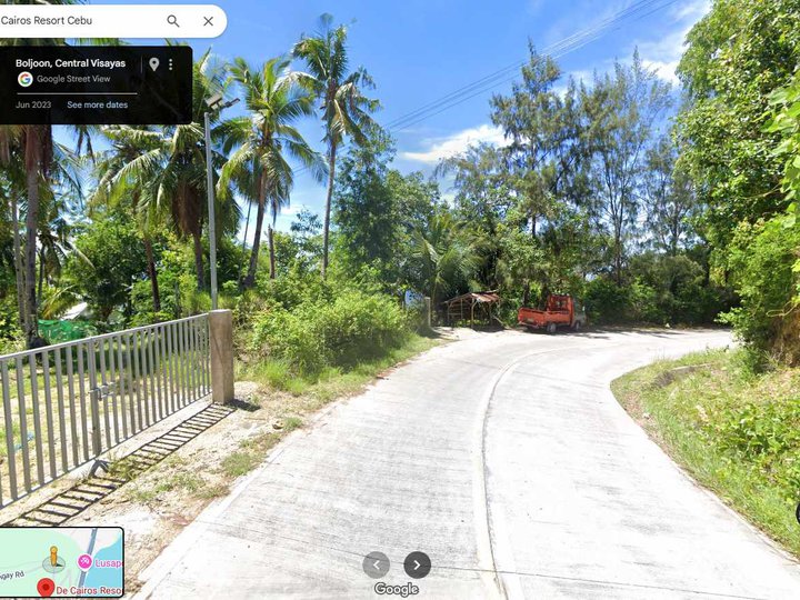 1.36 hectares Residential Farm For Sale in Boljoon Cebu