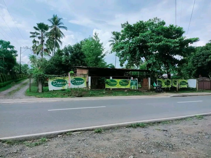 Commercial Lot in Tugbok Davao city