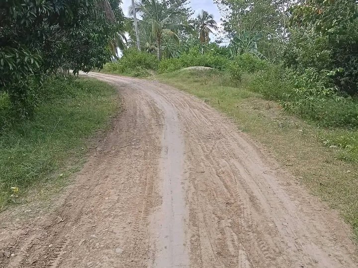 Farm lot with bearing trees Davao del sur