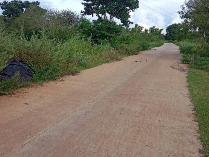 Farm Lot along cemented road Misamis Oriental