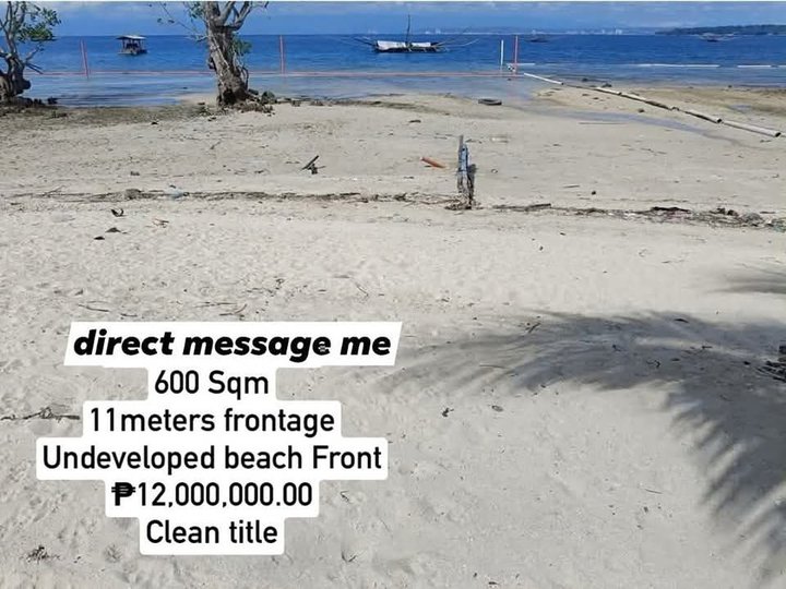 Beachfront Samal Davao