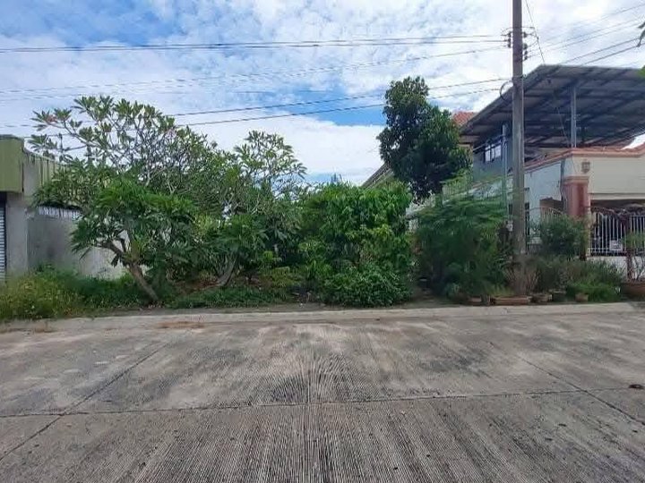 Lot Only Josefina Village Toril Davao. For sale