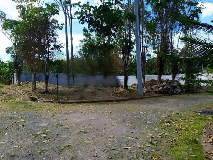 Commercial Lot Greenhills Subdivision Catalunan Pequeno