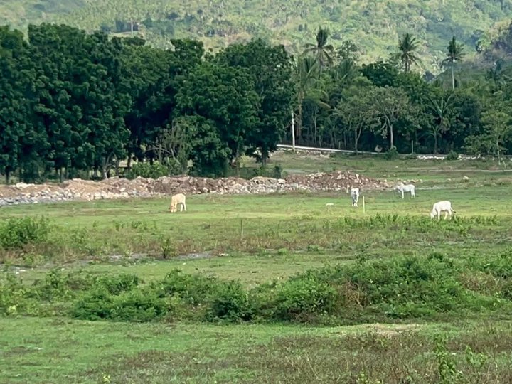 Mini farm lot 1000sqm clean title