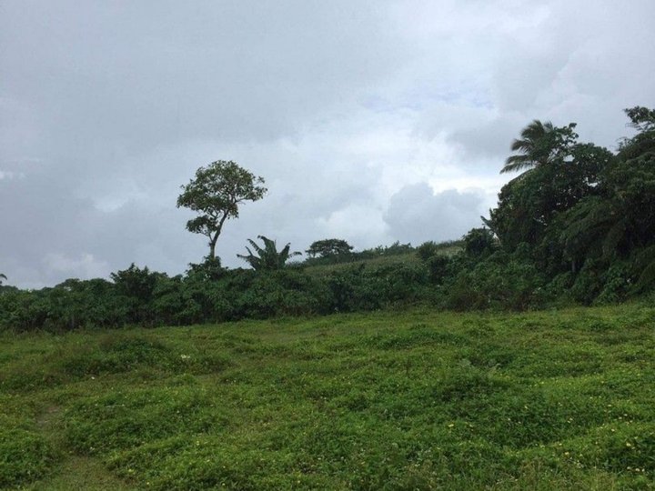 Farm lot with overlooking view, good soil, cool climate
