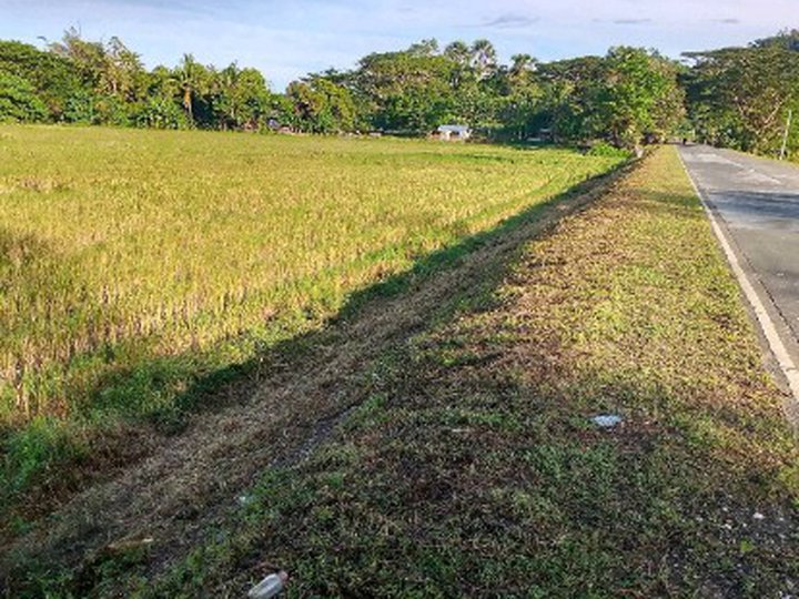 An 11.5 hectare agricultural land For Sale located at Calintaan, Occidental Mindoro