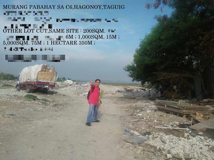 I'm selling 400 Hectares 54,000/sqm. 216Billion in along c6 highway,brgy. nadindan-hagonoy,Taguig