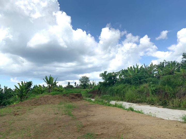 Residential Farm in Silang Cavite near Event Pulo Place for Sale
