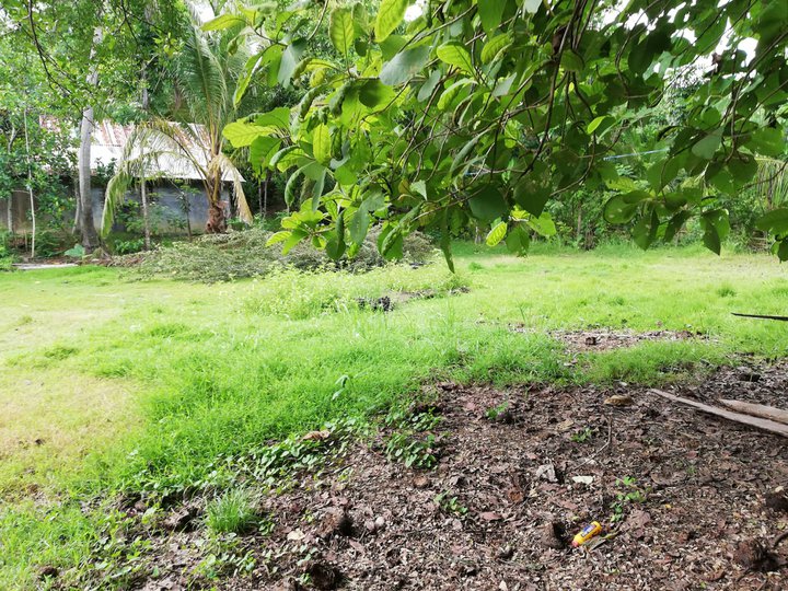 10,500 sqm Raw Land For Sale By Owner in Tigbauan Iloilo
