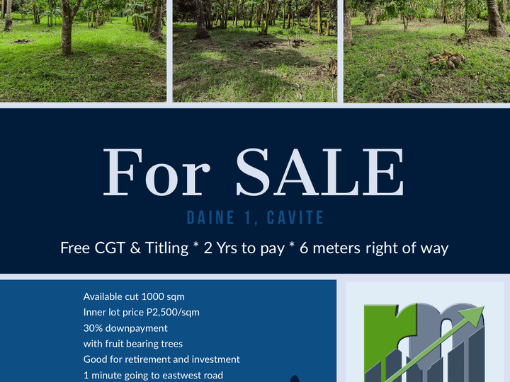 Lot for Sale Indang Cavite