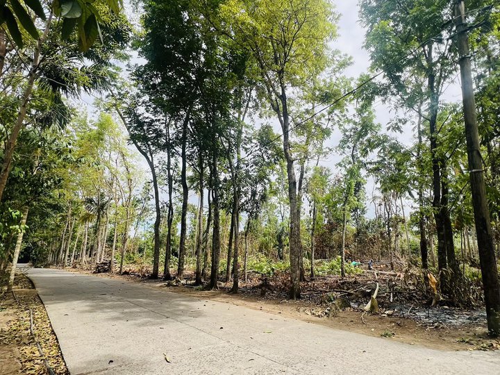 2,500 per sqm Farm Lot for sale in Bailen Cavite