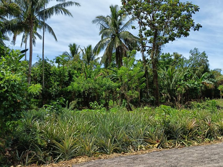 Discover Peace at Serene Farm @ Manggas, Alfonso!