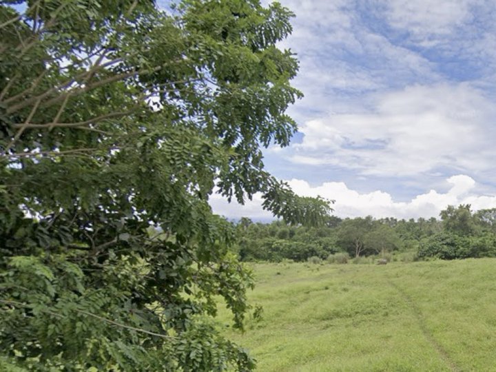 142 sqm | Prime Residential Lot | Crescela Nuvali by Avida Land