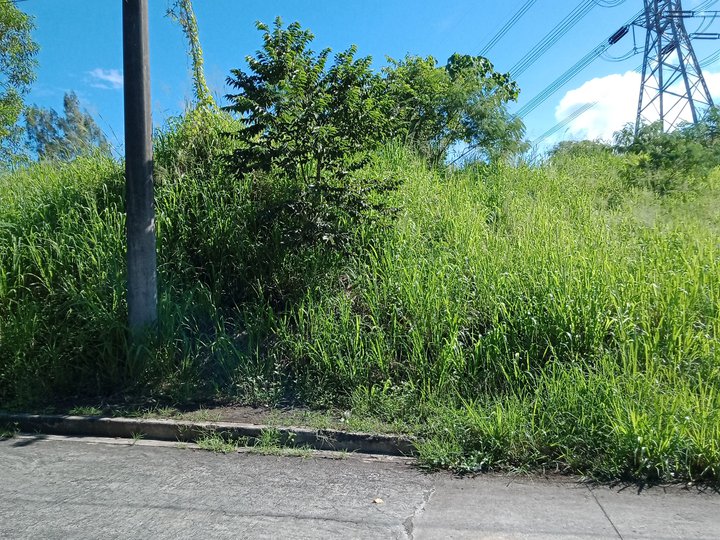 1,144 sqm Residential Lot in Palos Verdes Subd Antipolo