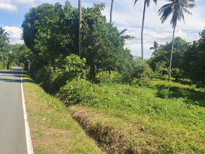 195,000 ONLY DOWNPAYMENT FOR  RESIDENTIAL FARM LOT NEAR TAGAYTAY