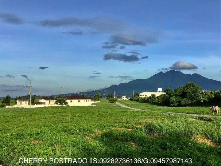 Lot Only for Sale 252sqm.up-Asenso Village-Calamba Laguna-Filinvest