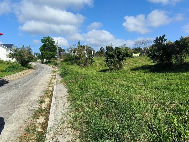 Lot For Sale Royale Tagaytay Esates