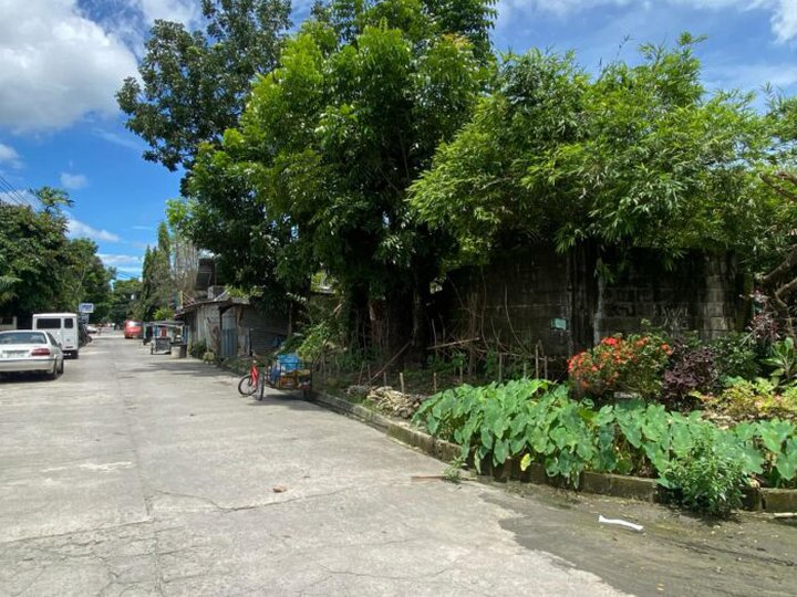 FOR SALE RESIDENTIAL LOTS NEAR KOREAN TOWN AND CLARK