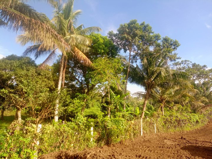 Land for Farm and Residential Titled in Alfonso near Tagaytay