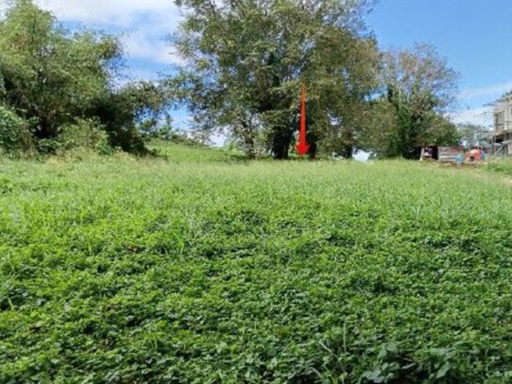 Foreclosed 643 sqm Residential Lot For Sale in Calamba Laguna