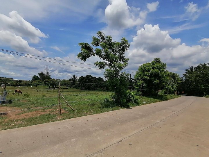 Affordable Farm Lot FOR SALE in For Sale Farm Lot in Silang Cavite