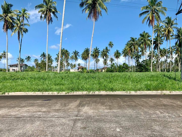 223 sqm Prime Residential Lot For Sale in San Pablo, Laguna - Montelago