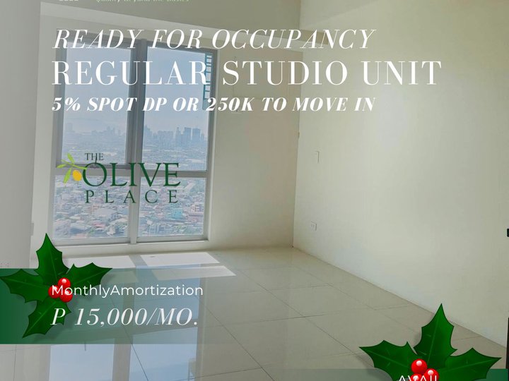 Studio Type Condo Unit in Mandaluyong City: The Olive Place Tower 1