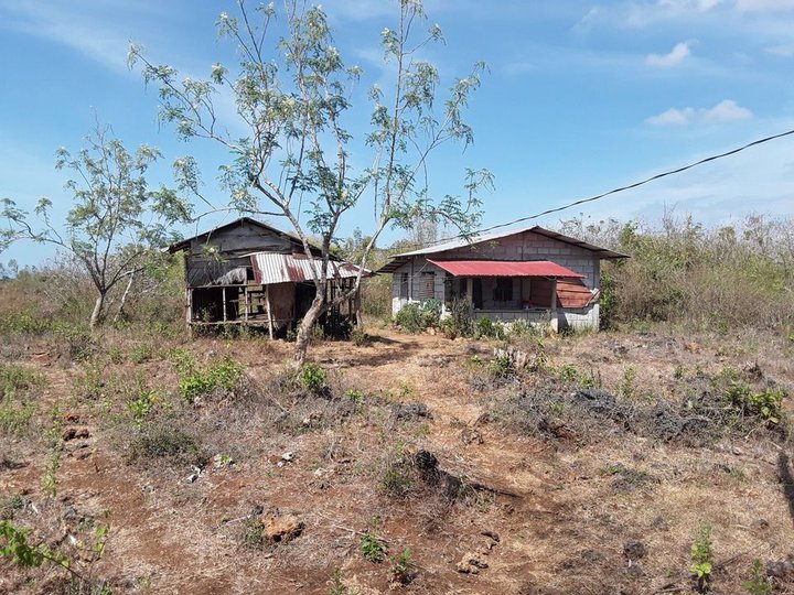 Farm 7.4 hectares, Bolinao Lubigan (Cabuyao)
