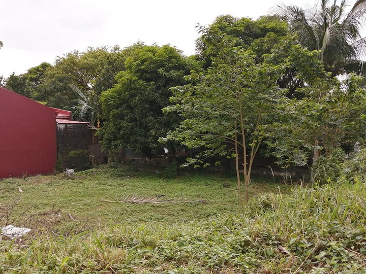 Lot for sale in San Carlos Binangonan Rizal Lots, Lands, and Farms in