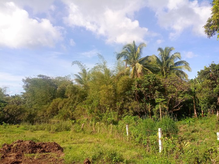 Lot for sale 1000 sqm in Alfonso Cavite