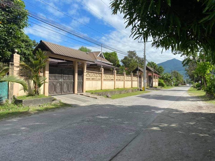 For Sale: House in a 1200sqm Lot in Arayat Pampanga [House and Lot 🏘️ ...