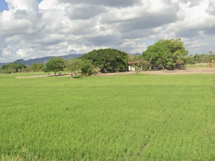 Clean 145 sqm Buildable Lot in Crescela Nuvali Near Amenities & Parks