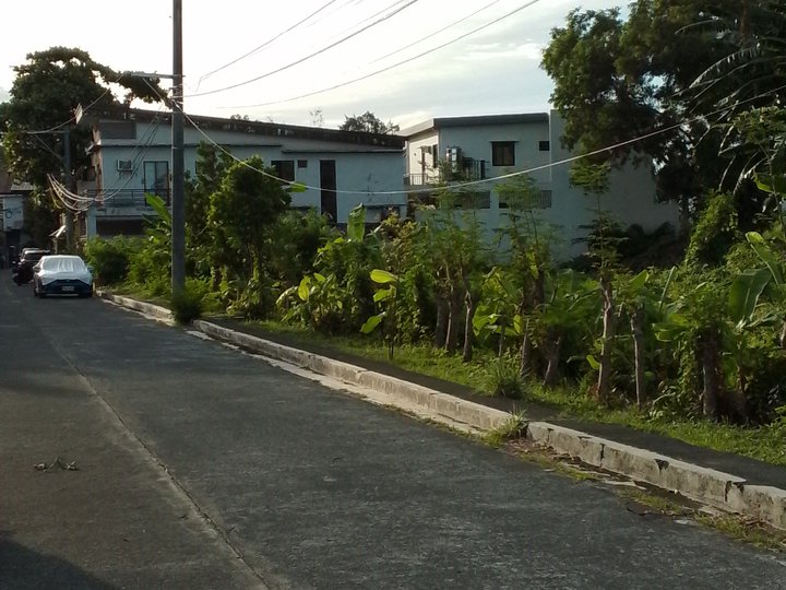 I'm selling 155sqm. 41,000/sqm. 11yrs. to pay, residential lot in Greenwoods Subdivision,Pasig City