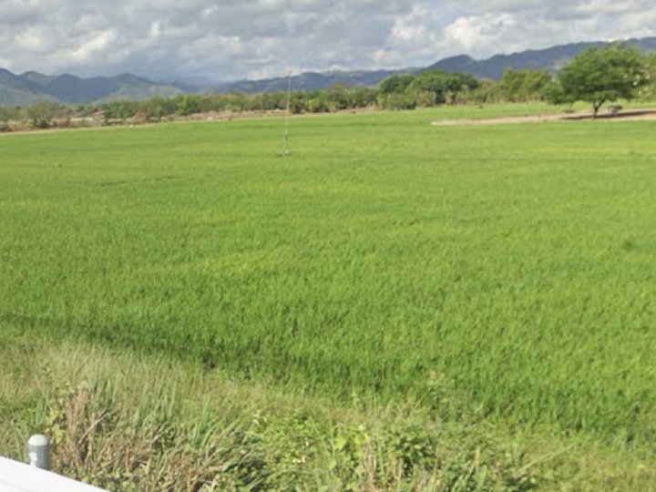 Peaceful Residential Lot with Overlooking Views in Crescela Nuvali by Avida Land