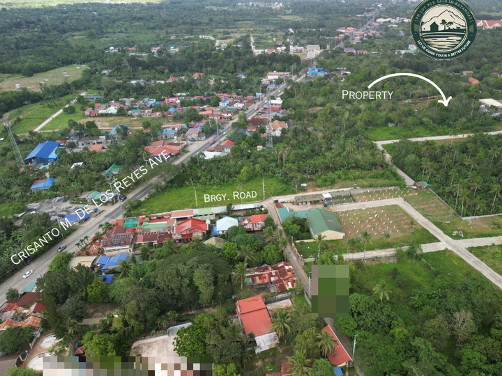 Residential Farm Lot Near Highway of Amadeo, Cavite