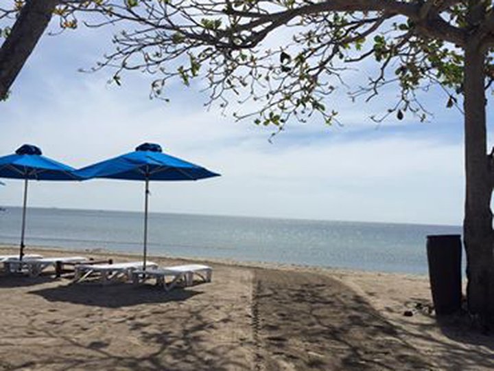 Laiya Residential lot 309sqm available at Playa Laiya